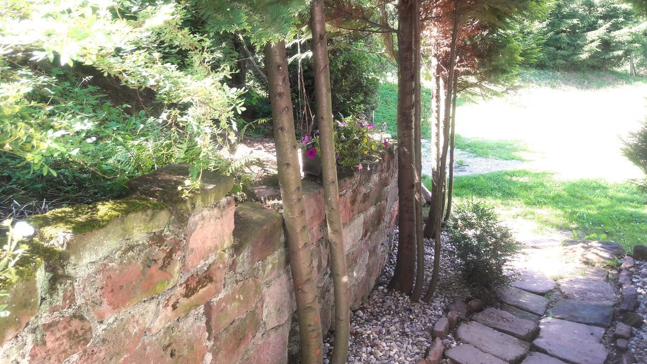 Wsiowa Chata Scinawka Gorna Exterior photo